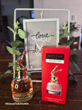 Only You No 886 - 30ml - Inspired by Jean Paul Gaultier's Scandal