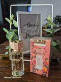 Red 81 - Only You No 8237 - 30ml - Inspired by Armani My Way